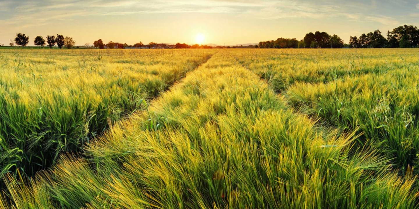 Februaryslump header