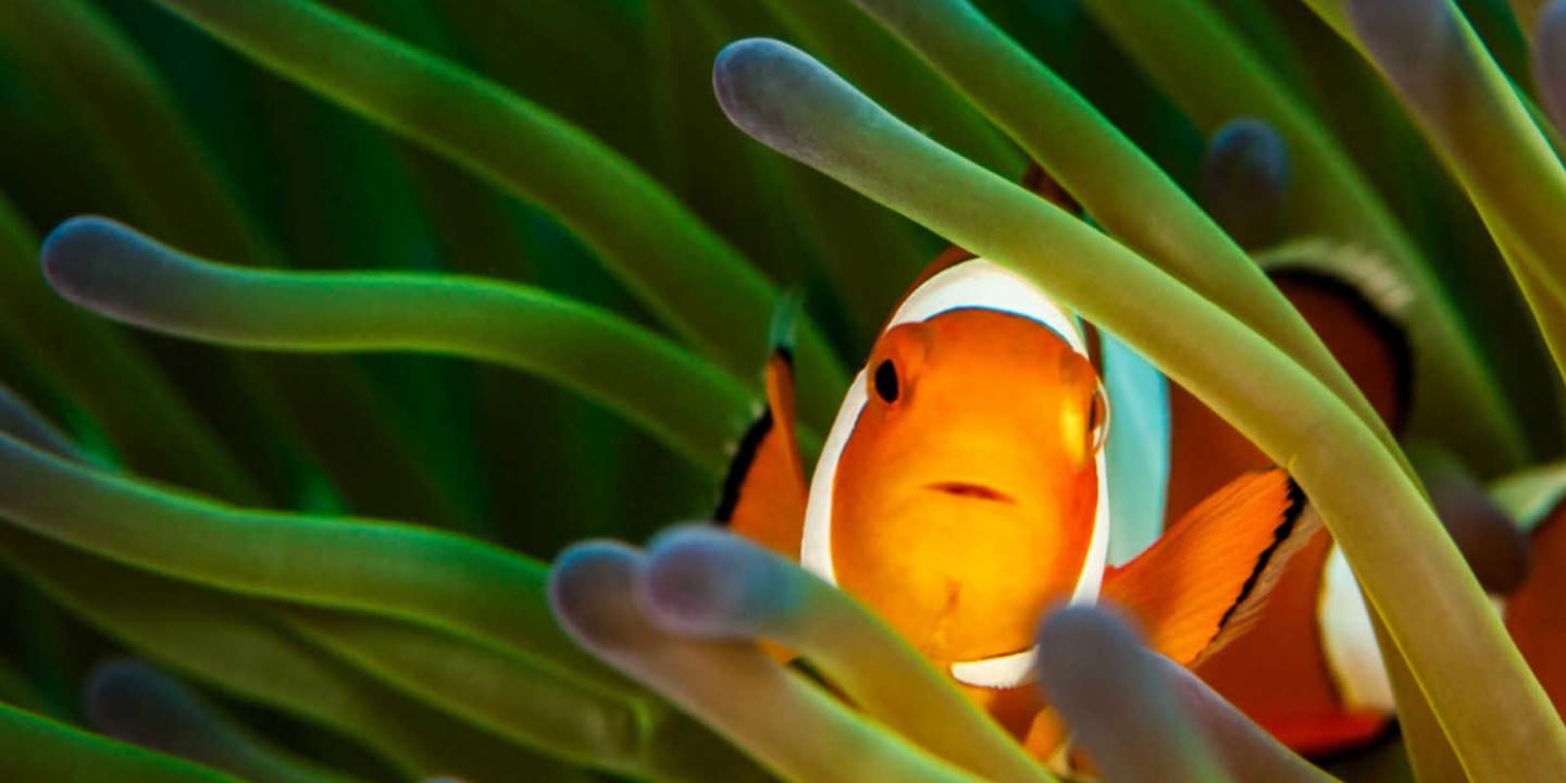 Propeller Website Banners 070120 1