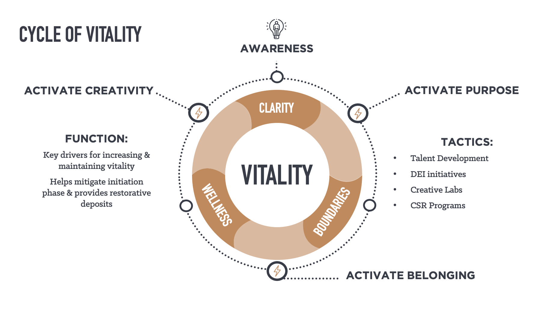 Phase 3 of the Vitality Model: Activating Purpose, Belonging & Creativity